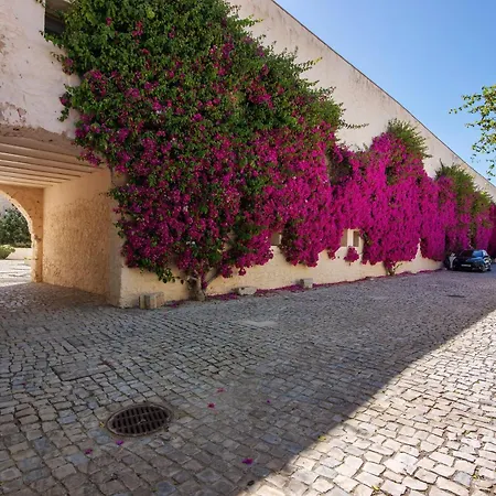 Architect Luxury Ancient Triplex Ba Appartement